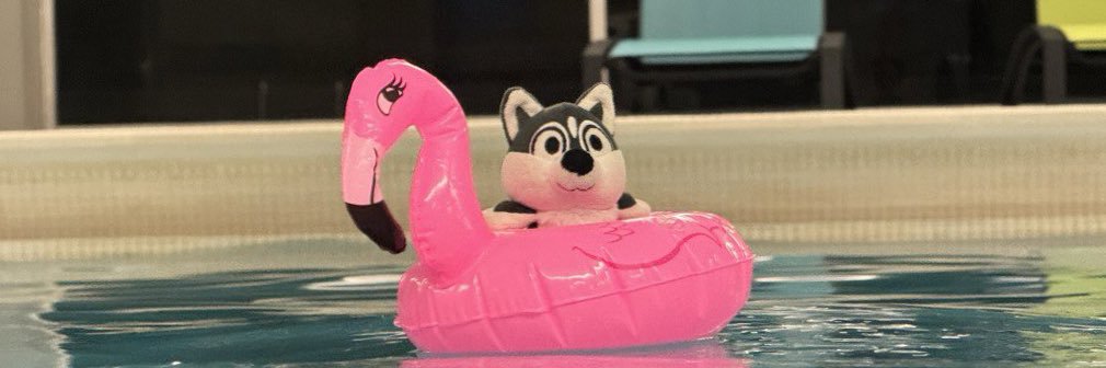 Marshall Shepherd banner