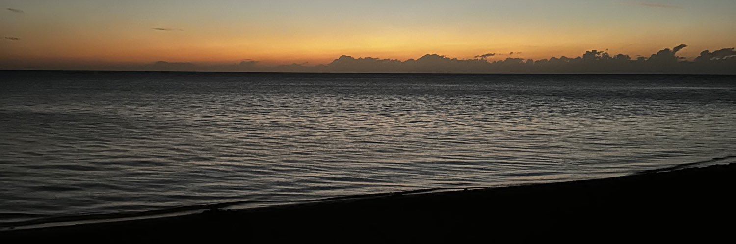 mdfo__'s profile banner image