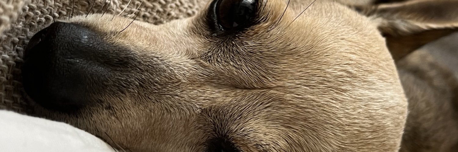 fredfont's profile banner image