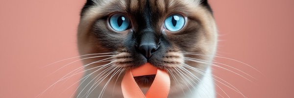 PeachyCure Profile Banner
