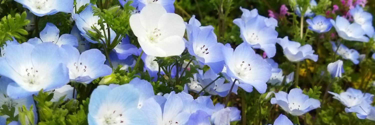 junoapr's profile banner image