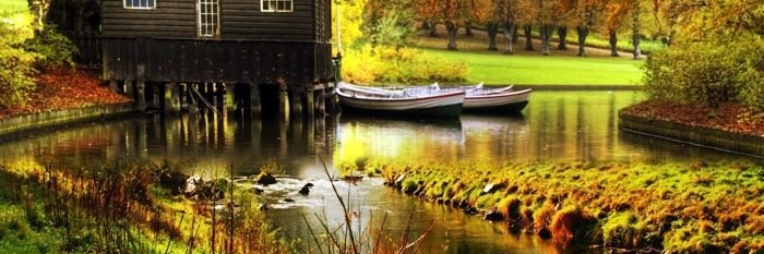 Norelis Palmar banner