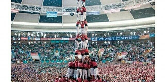 Bastonada Rosada banner