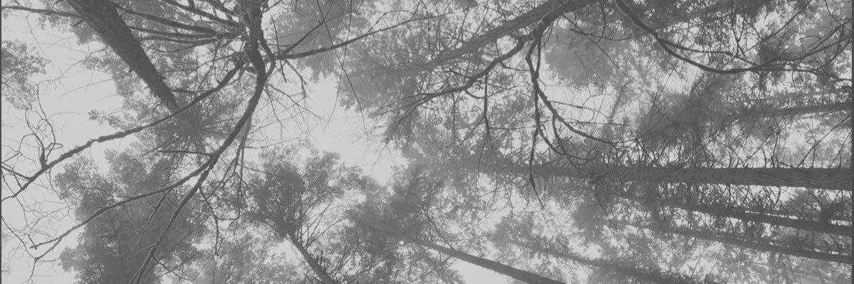 elanirmelo's profile banner image