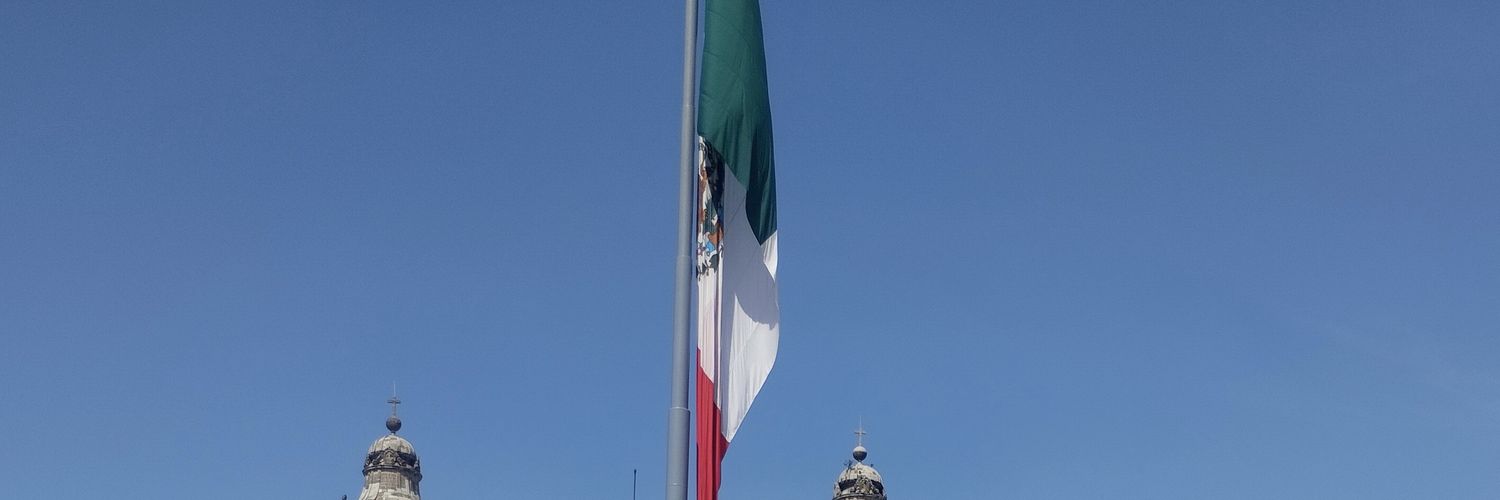 tigrillo35's profile banner image