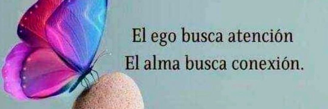 Rebeca🇪🇸🇭🇳 banner