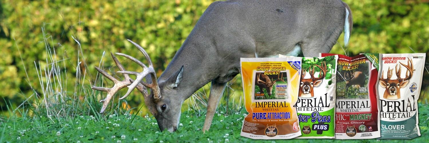 Whitetail Institute banner