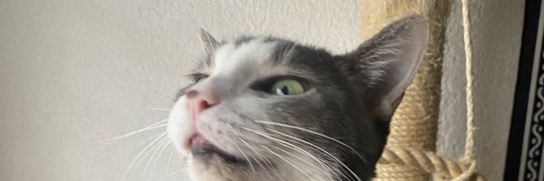tayabbys Profile Banner