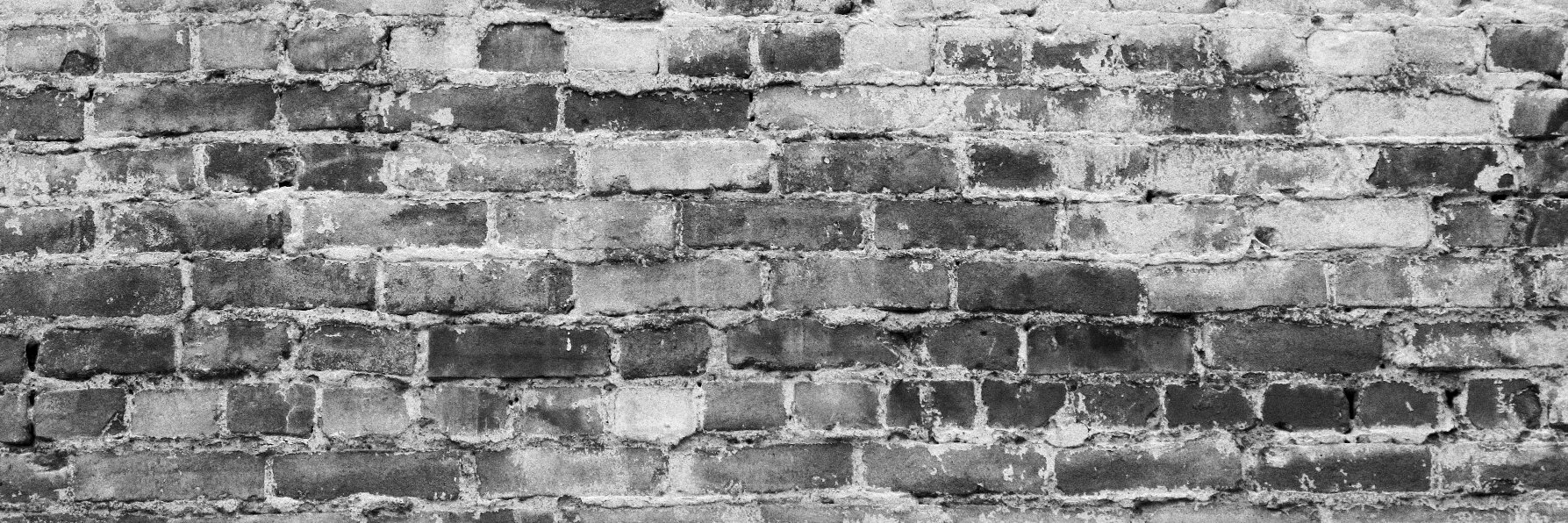 andlose's profile banner image