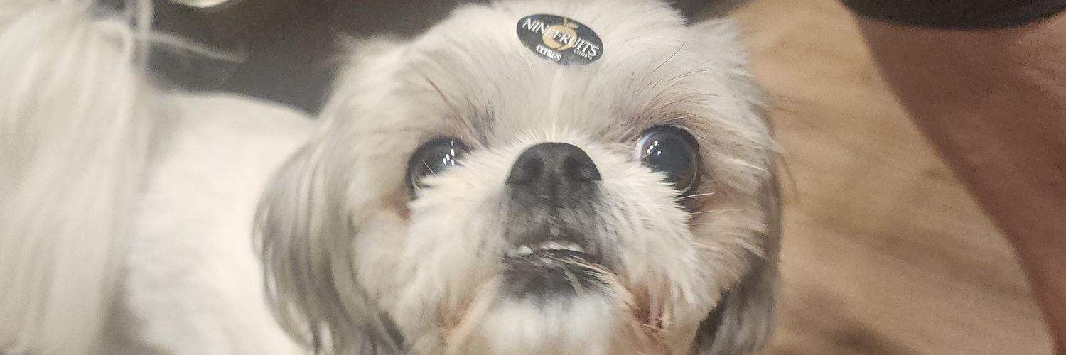 THATMutedbluey's profile banner image