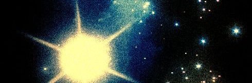she/her banner