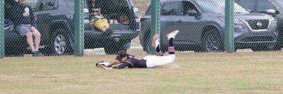 Katelyn Schoeps banner