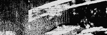 SimplyKinder24's profile banner image