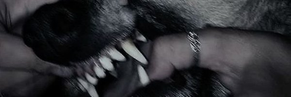anemicalien Profile Banner