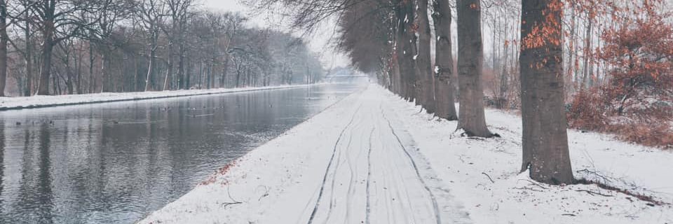 Winter Cycling Congress banner