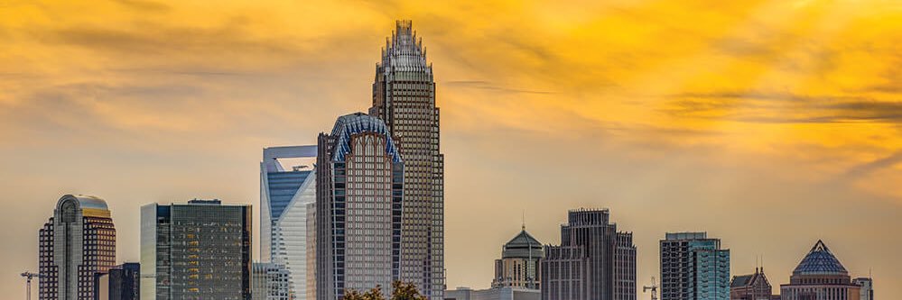 dgonwbtv's profile banner image
