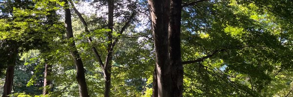 say_temple Profile Banner