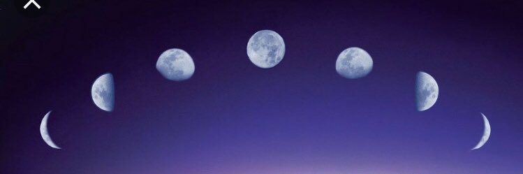 maribritez banner