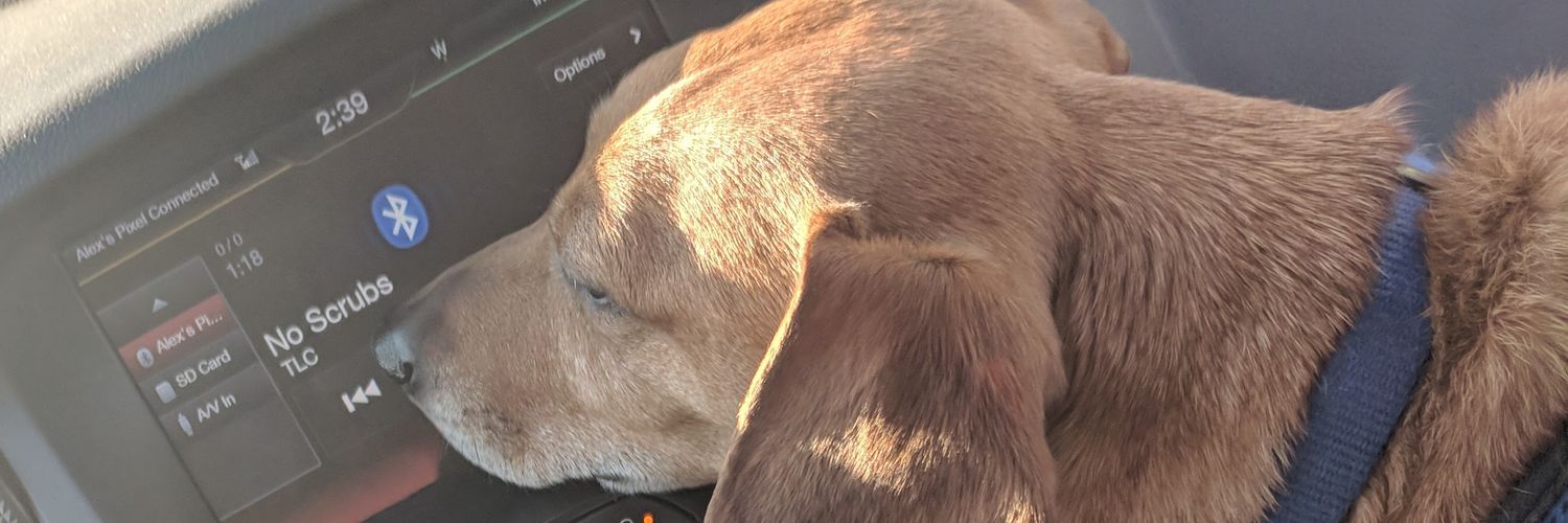 MrAlexEddy's profile banner image