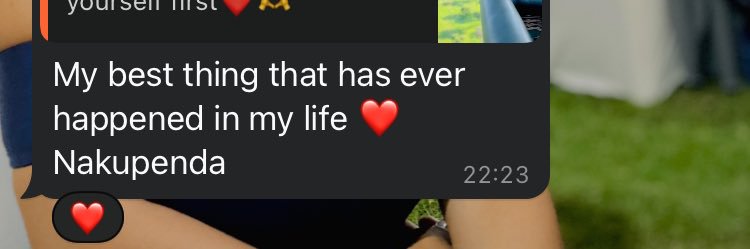 Proverb 31 woman banner