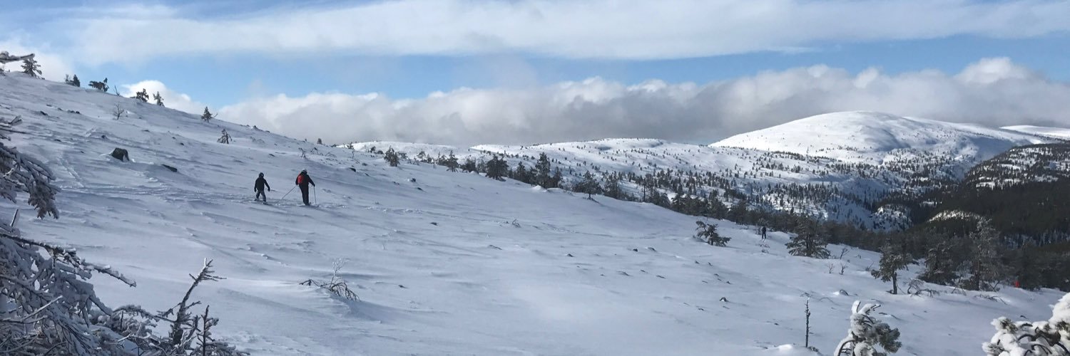 vehvis's profile banner image