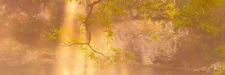 kiyoomiis's profile banner image