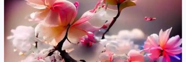 EirahJutt Profile Banner