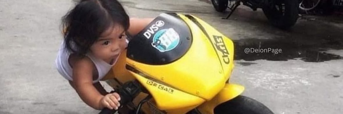 Bird’s Eye 🟤 banner