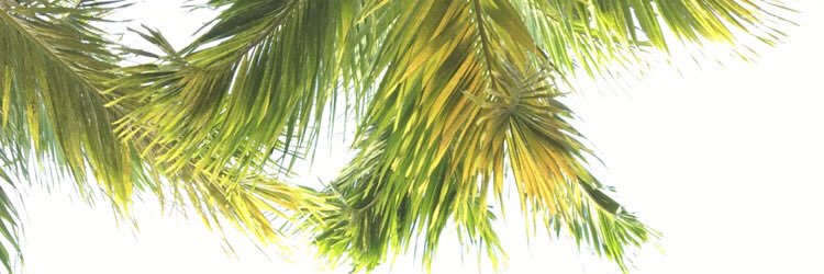 kabbbsss's profile banner image