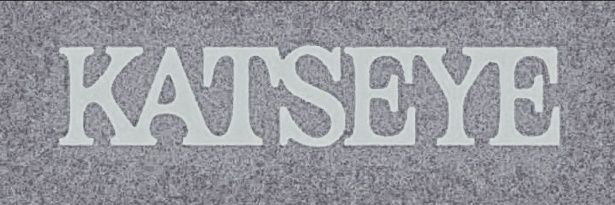 YC banner