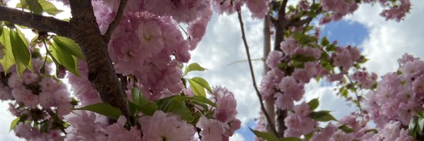 ALstarNC Profile Banner