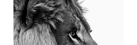 gil_gilmark2's profile banner image