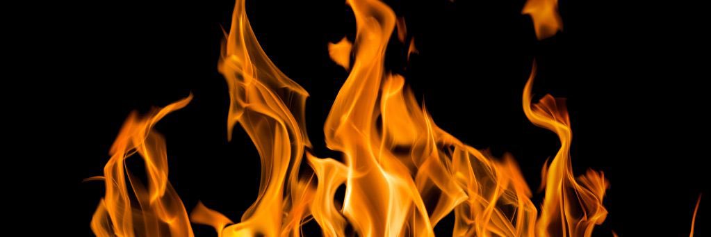 BigZaddy50🐞 banner