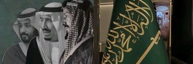 ameralmaliki banner