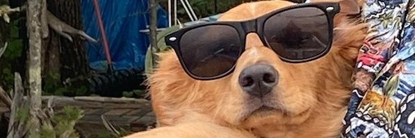 Comrade_Bork's profile banner image