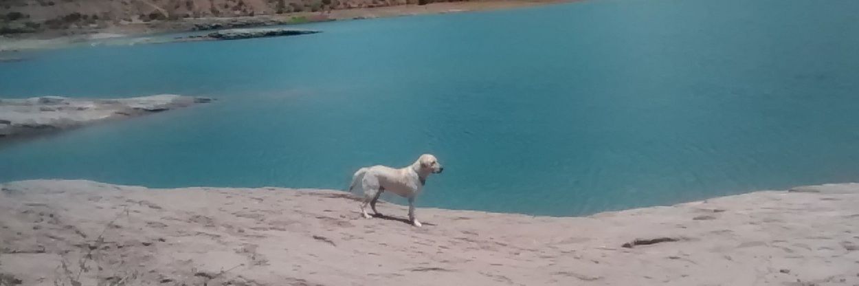 AguLuquez's profile banner image