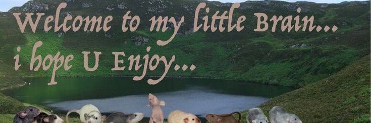 poy banner