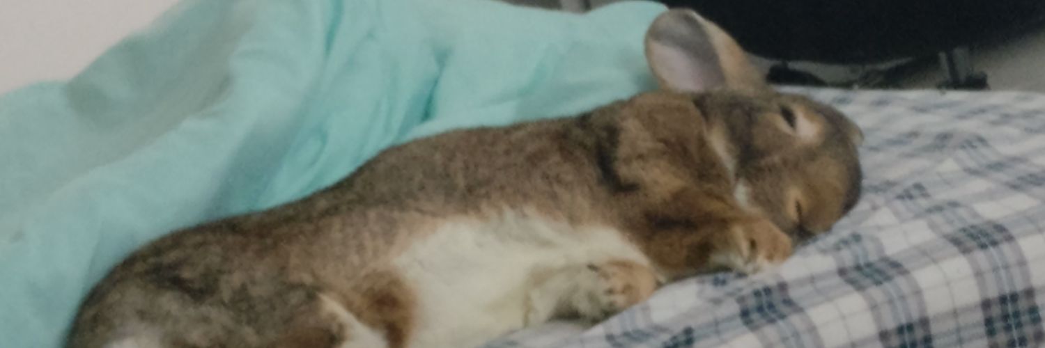 Zach the Blumpkin King banner