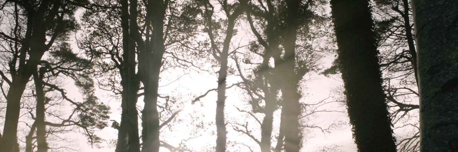 asoiaf archive's banner