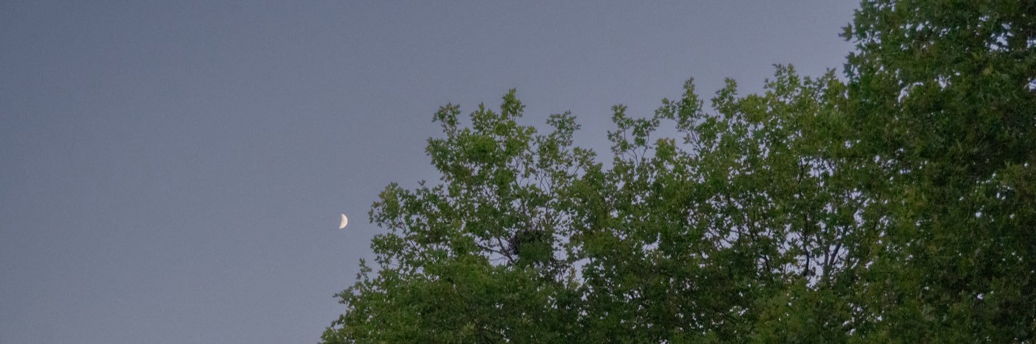 Therzape #KoemanOut banner