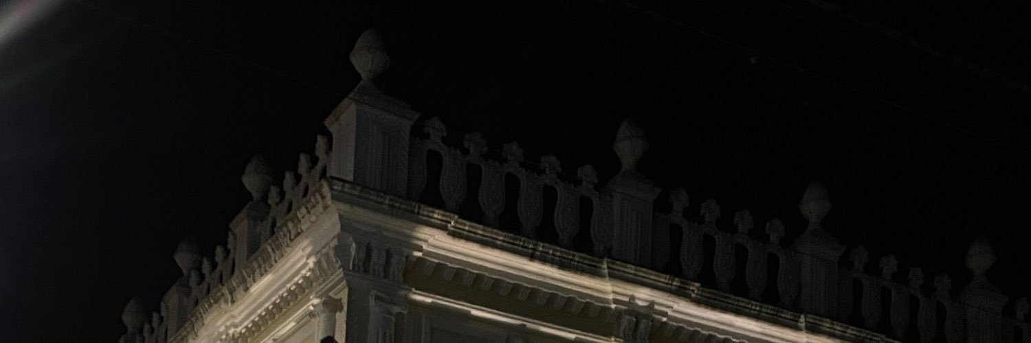 naoeaalvs's profile banner image