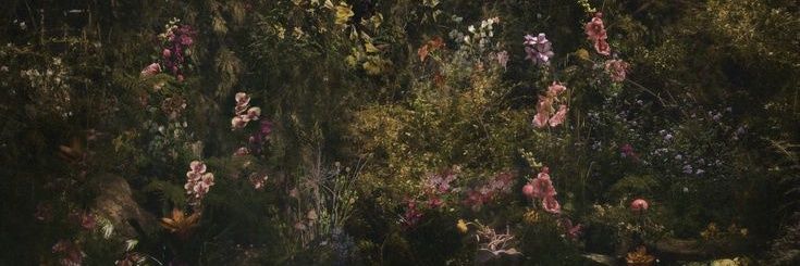 🍀 banner