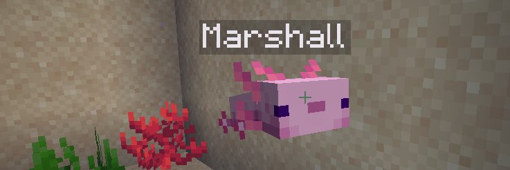 Marshallziri's profile banner image