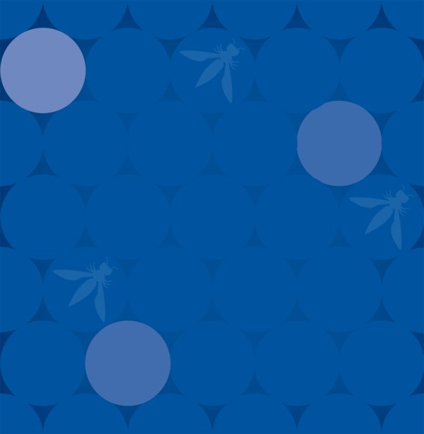 Sam Stepanyan banner