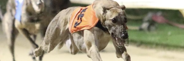 devondogger Profile Banner