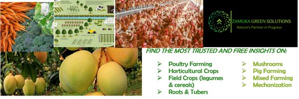 ZamukaGreenSol Profile Banner