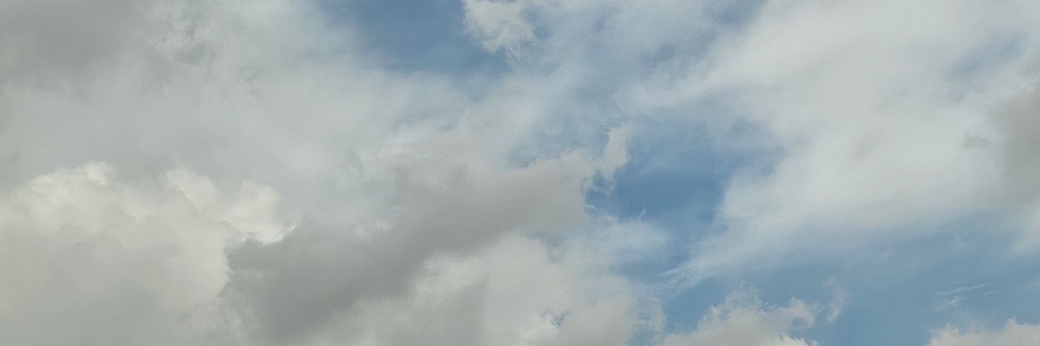 mt (slowly) banner