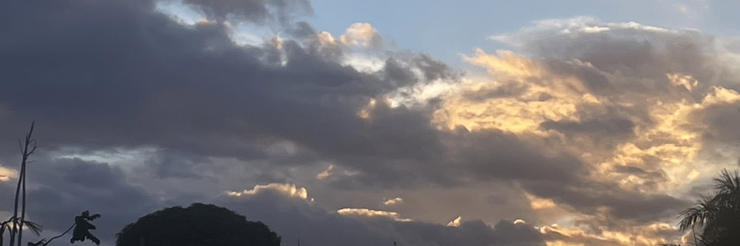 berto_melendez's profile banner image