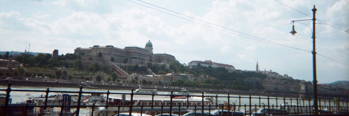 levinsannabelle's profile banner image