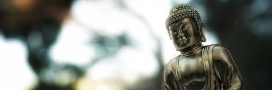 Rohanzeira's profile banner image